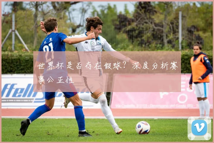 世界杯是否存在假球？深度分析赛事公正性