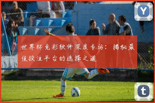 世界杯竞彩软件深度专访:揭秘最佳投注平台的选择之道