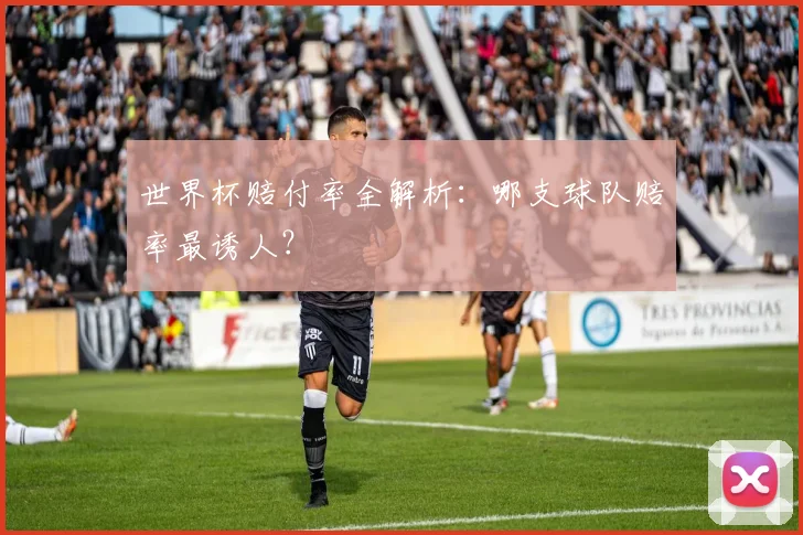 世界杯赔付率全解析:哪支球队赔率最诱人?