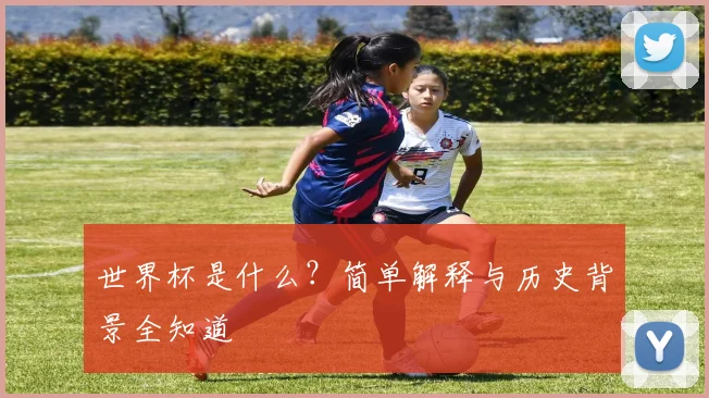 世界杯是什么？简单解释与历史背景全知道
