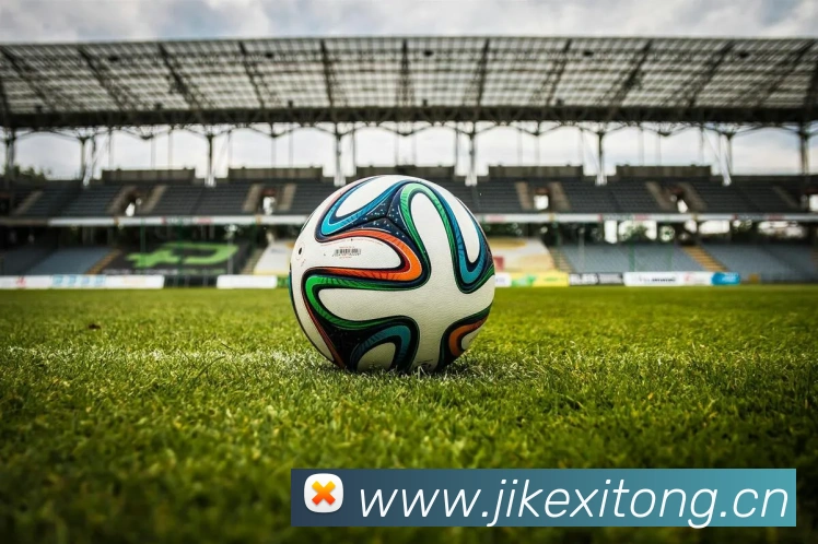 熊猫体育官方网站平台生态图